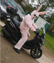 Filename=bunny.png
Filesize=583KiB
Dimensions=479x554
Date added=Apr 14, 2019 bunny.png